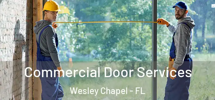 Commercial Door Services Wesley Chapel - FL