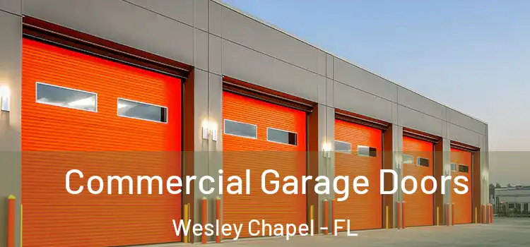  Commercial Garage Doors Wesley Chapel - FL