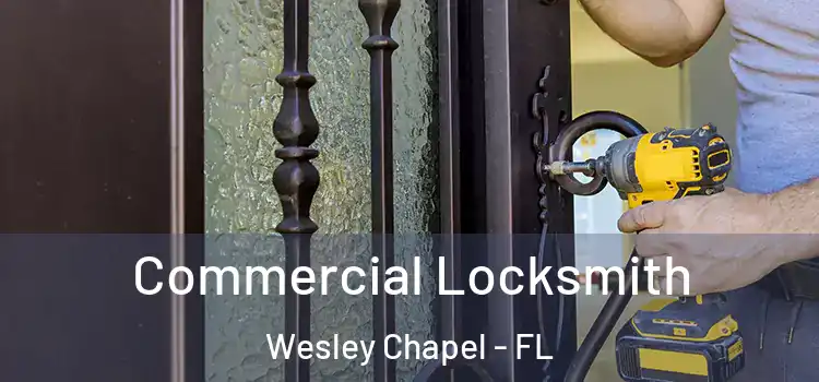 Commercial Locksmith Wesley Chapel - FL