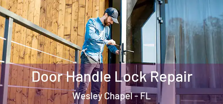 Door Handle Lock Repair Wesley Chapel - FL