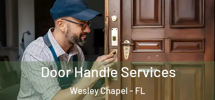 Door Handle Services Wesley Chapel - FL