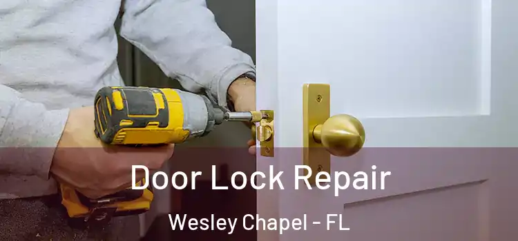 Door Lock Repair Wesley Chapel - FL