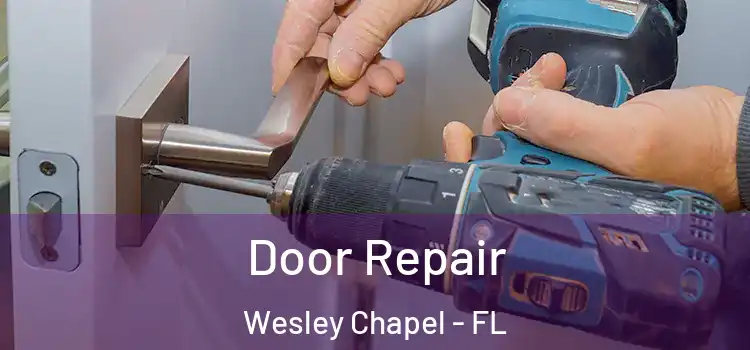 Door Repair Wesley Chapel - FL