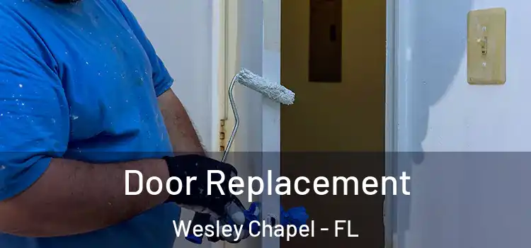 Door Replacement Wesley Chapel - FL