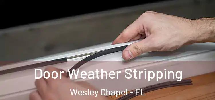 Door Weather Stripping Wesley Chapel - FL