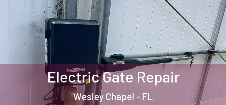 Electric Gate Repair Wesley Chapel - FL