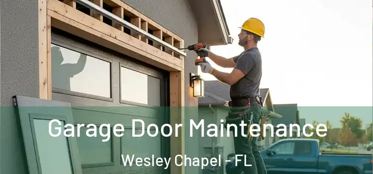 Garage Door Maintenance Wesley Chapel - FL