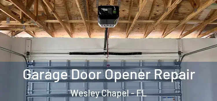  Garage Door Opener Repair Wesley Chapel - FL