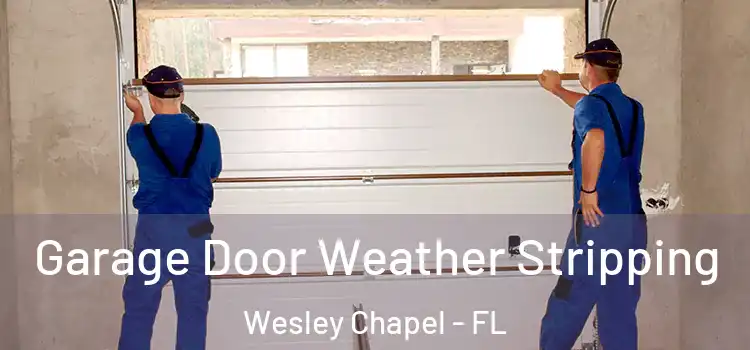  Garage Door Weather Stripping Wesley Chapel - FL