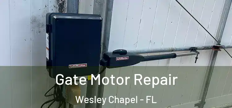 Gate Motor Repair Wesley Chapel - FL