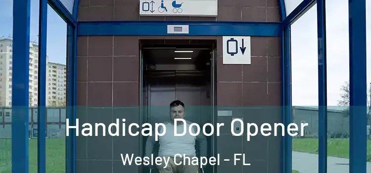 Handicap Door Opener Wesley Chapel - FL