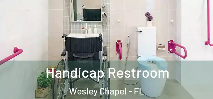  Handicap Restroom Wesley Chapel - FL