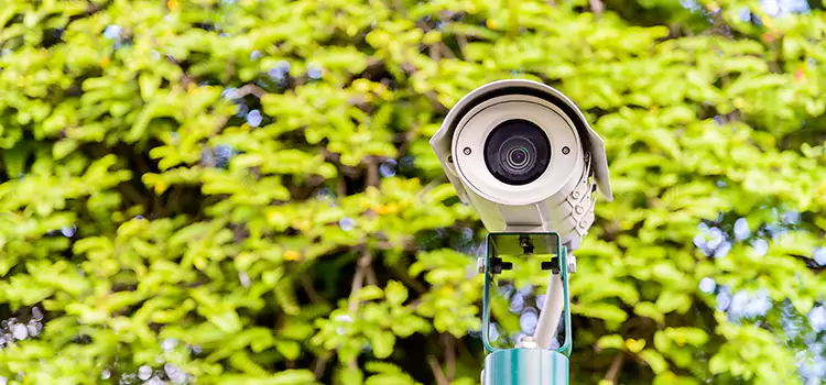 Advanced Surveillance Solutions for Every Need in Wesley Chapel
