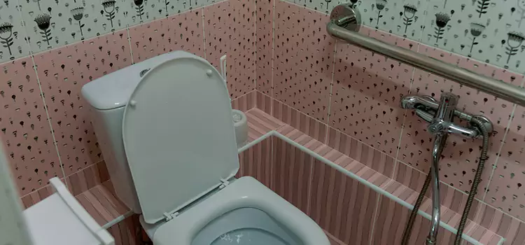 Meeting Diverse Needs With Accessible Restroom Solutions in Wesley Chapel, FL