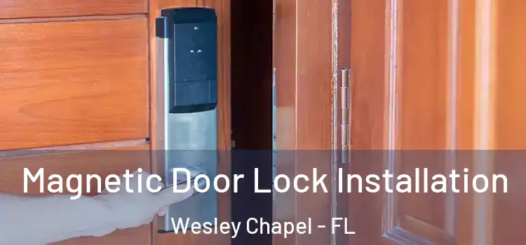  Magnetic Door Lock Installation Wesley Chapel - FL