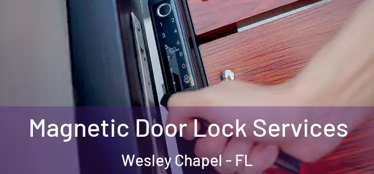 Magnetic Door Lock Services Wesley Chapel - FL