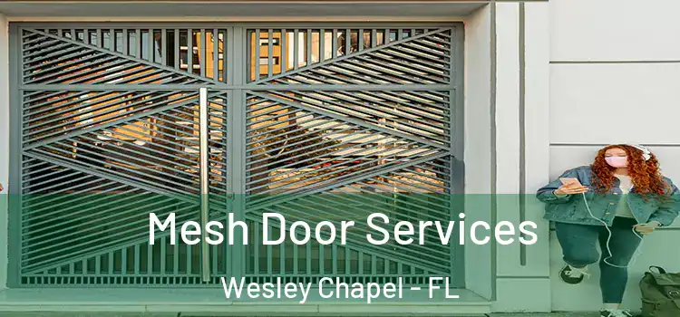 Mesh Door Services Wesley Chapel - FL