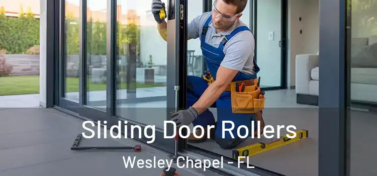 Sliding Door Rollers Wesley Chapel - FL