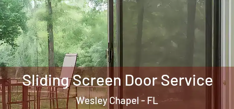 Sliding Screen Door Service Wesley Chapel - FL