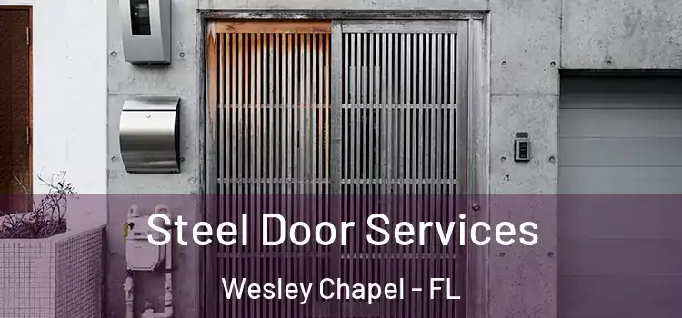 Steel Door Services Wesley Chapel - FL